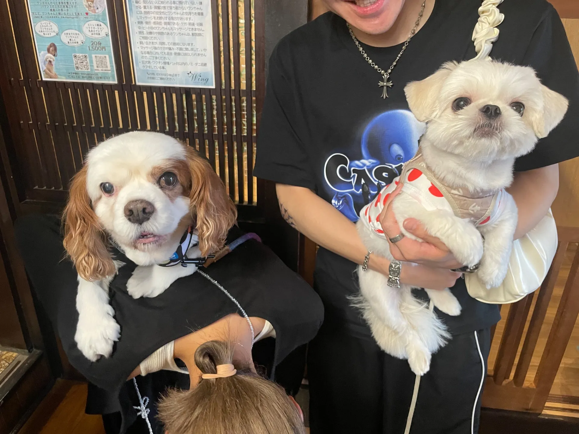 佐賀、福岡　ペット同伴可